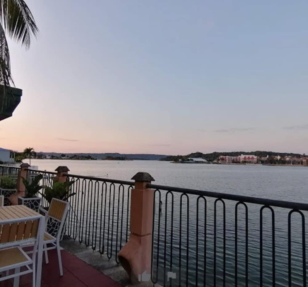 Peten Esplendido Flores Luaran gambar