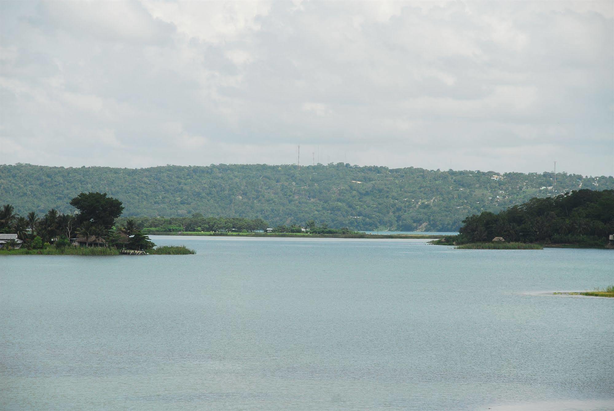 Peten Esplendido Flores Luaran gambar