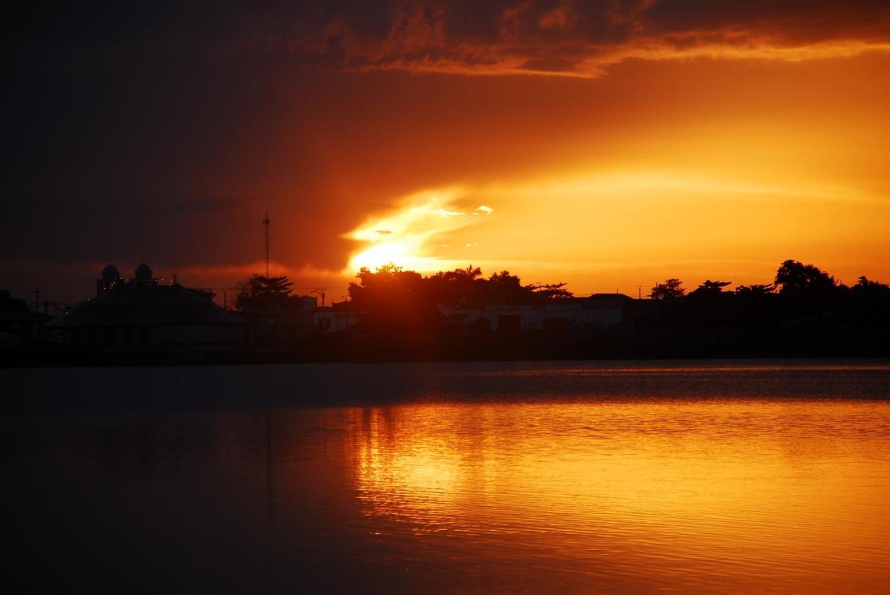 Peten Esplendido Flores Luaran gambar